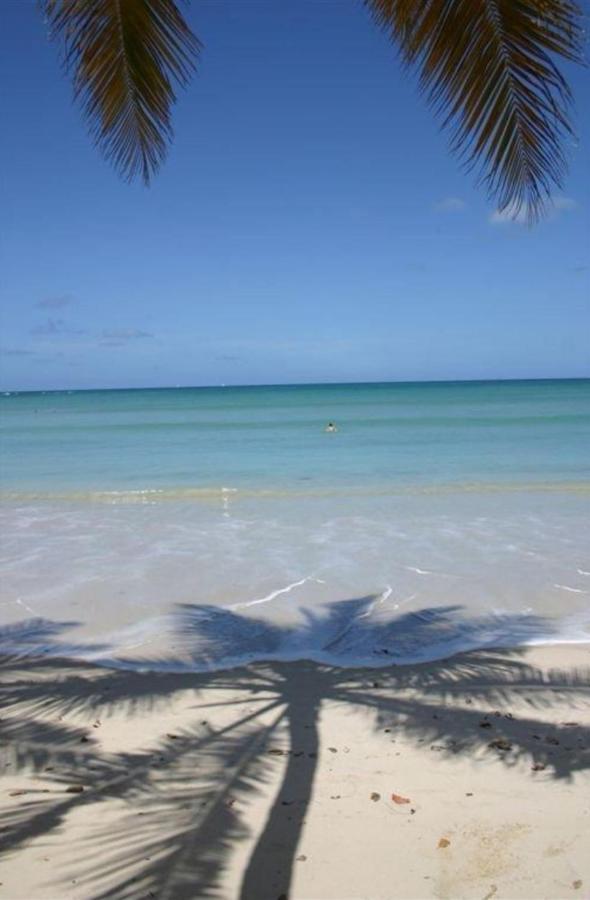 T2 Les Pieds Dans L'Eau Face A La Mer Des Caraibes Sainte Luce - Trois Rivieres Exteriör bild
