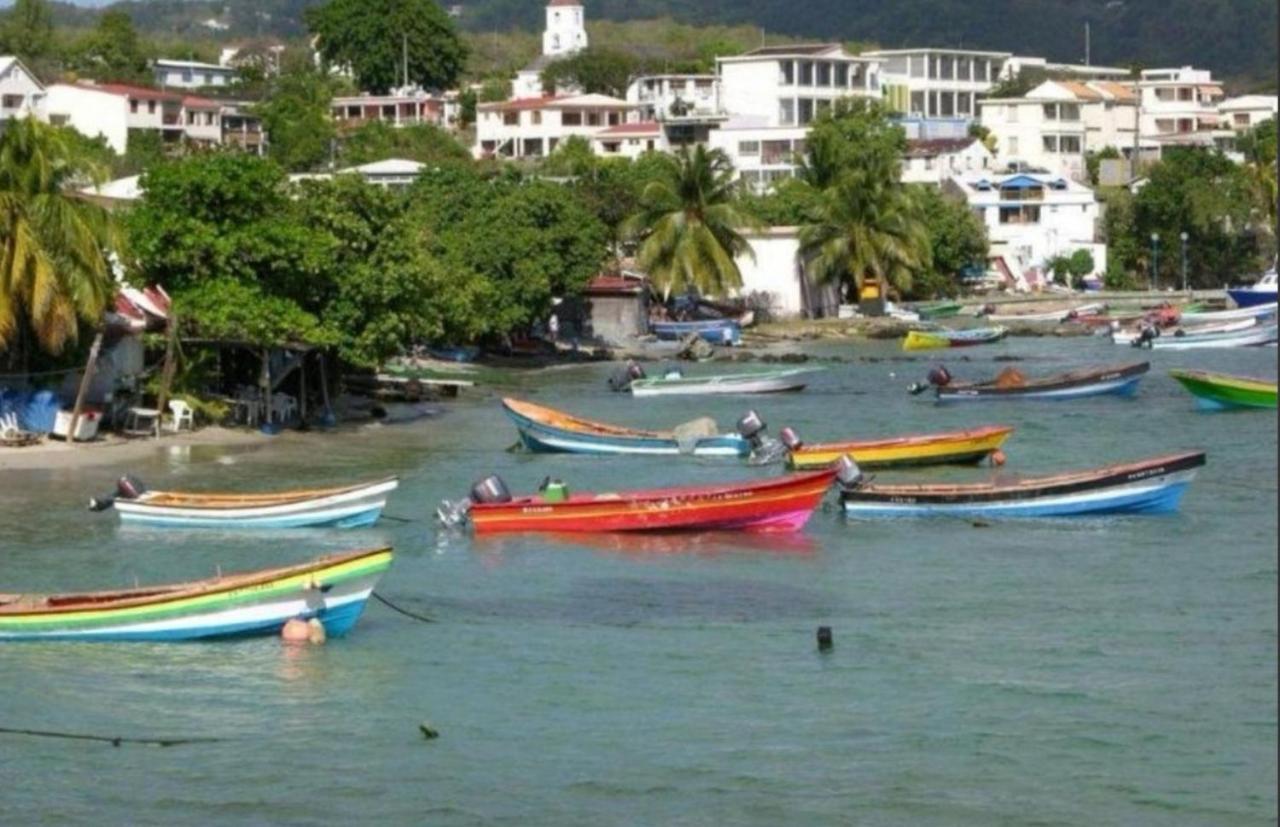 T2 Les Pieds Dans L'Eau Face A La Mer Des Caraibes Sainte Luce - Trois Rivieres Exteriör bild