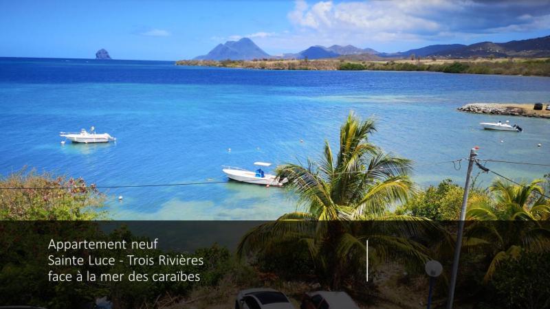 T2 Les Pieds Dans L'Eau Face A La Mer Des Caraibes Sainte Luce - Trois Rivieres Exteriör bild